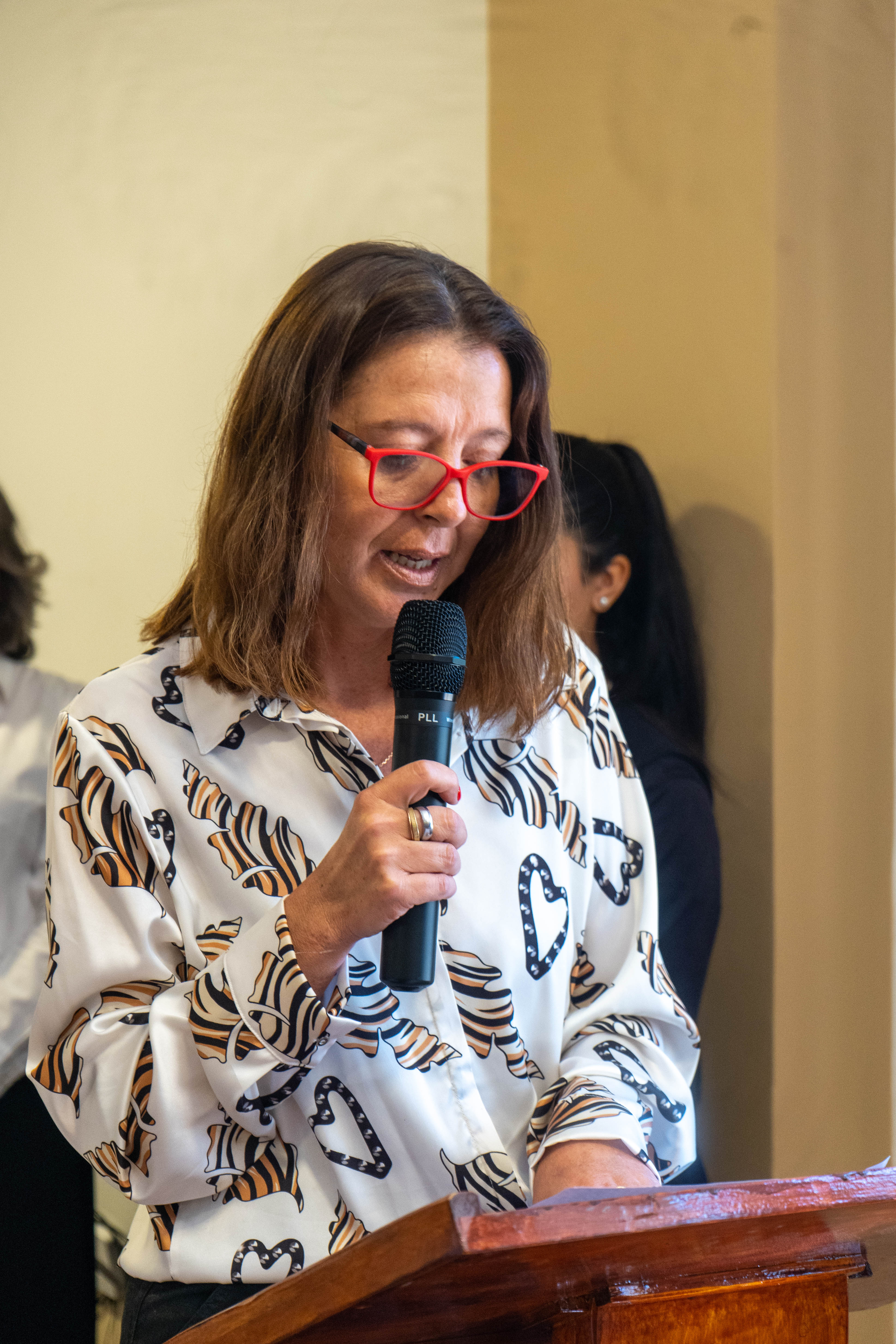 Haga click en la imágen para verla ampliada